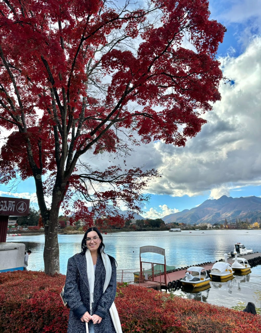 Media image with video