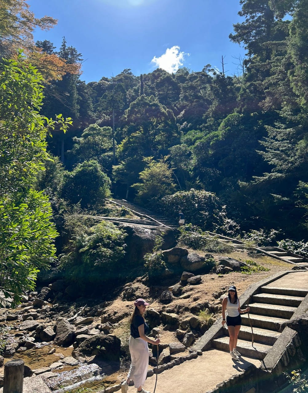 Media image with video