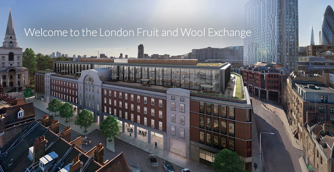 Media image with video