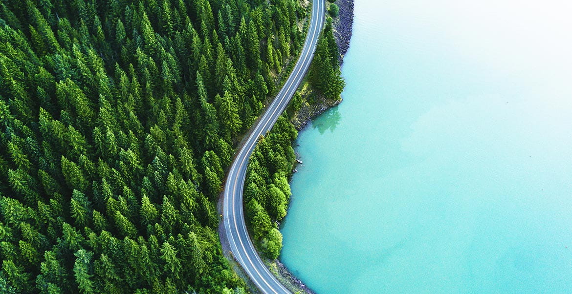 Media image with video