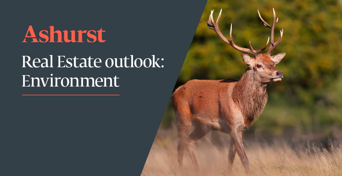 Media image with video