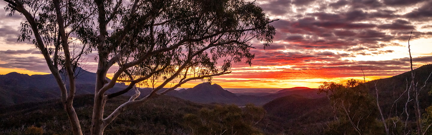 Australia's new environmental laws to commence in 2026