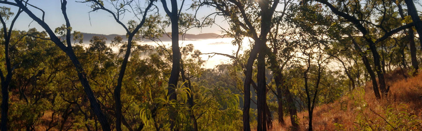 Key developments in the Queensland land access space