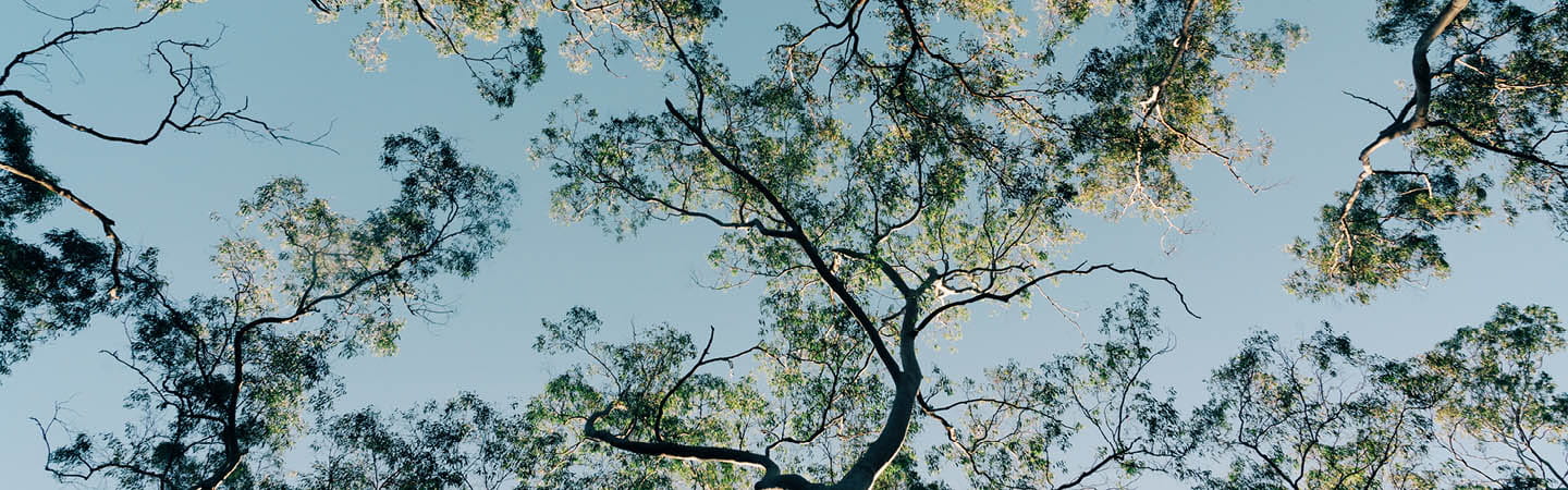 Queensland, Australia