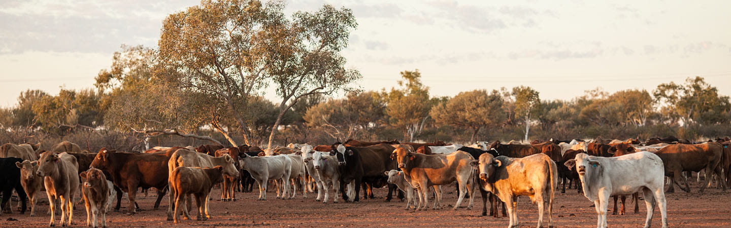 Queensland, Australia