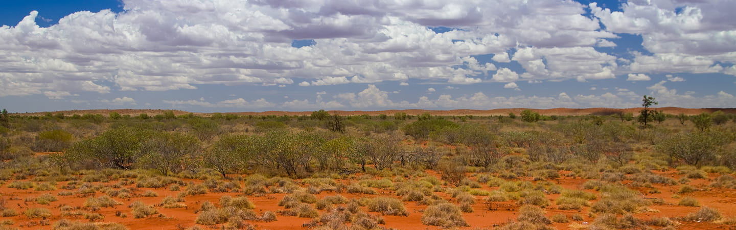 Australia Outback view