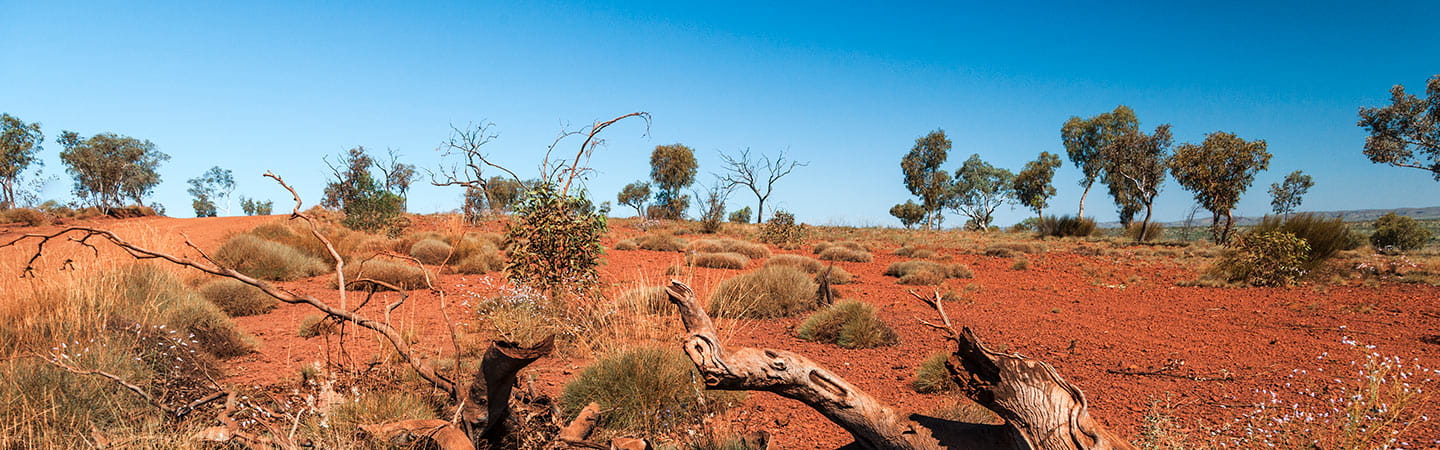 Native Title Act's expedited procedure under challenge