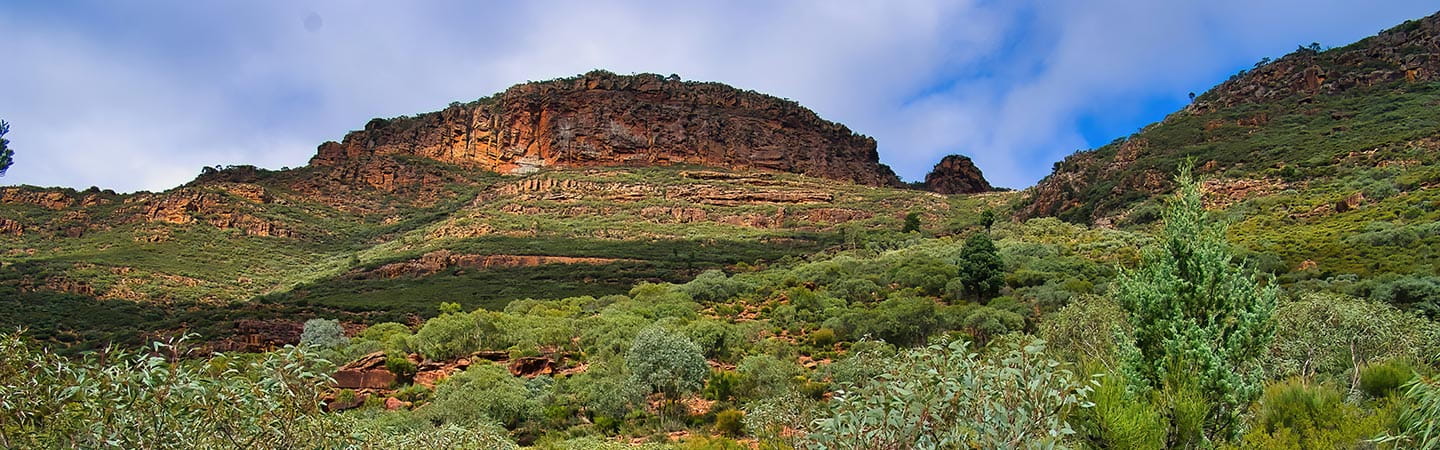 Australian Law Reform Commission releases Discussion Paper in future acts regime inquiry