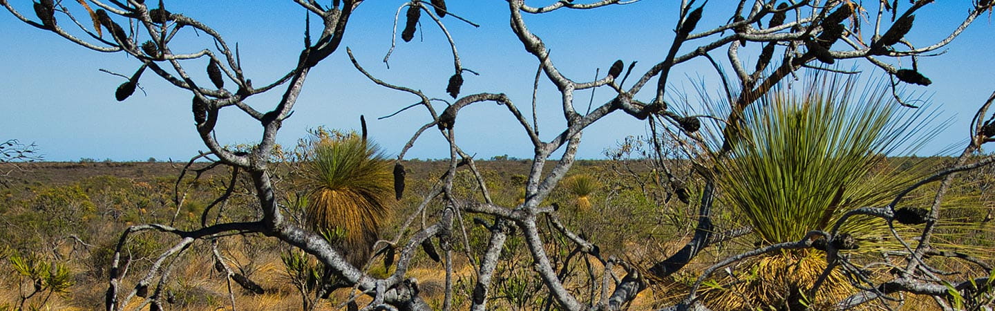 Commonwealth cultural heritage protection applications: still top of mind for First Nations Groups