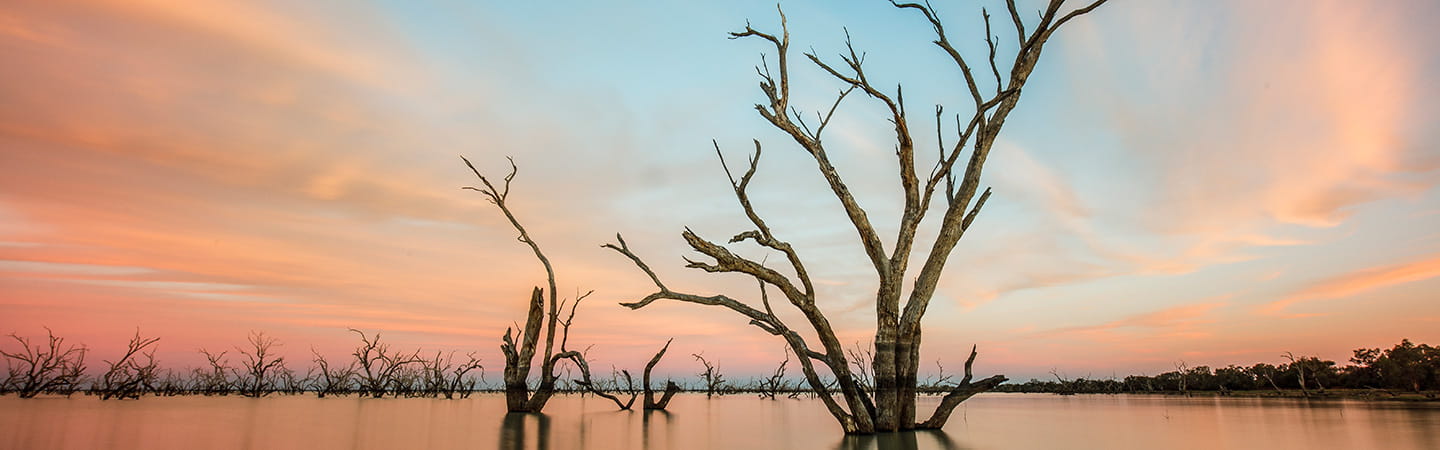 Glacial progress of developments in native title compensation