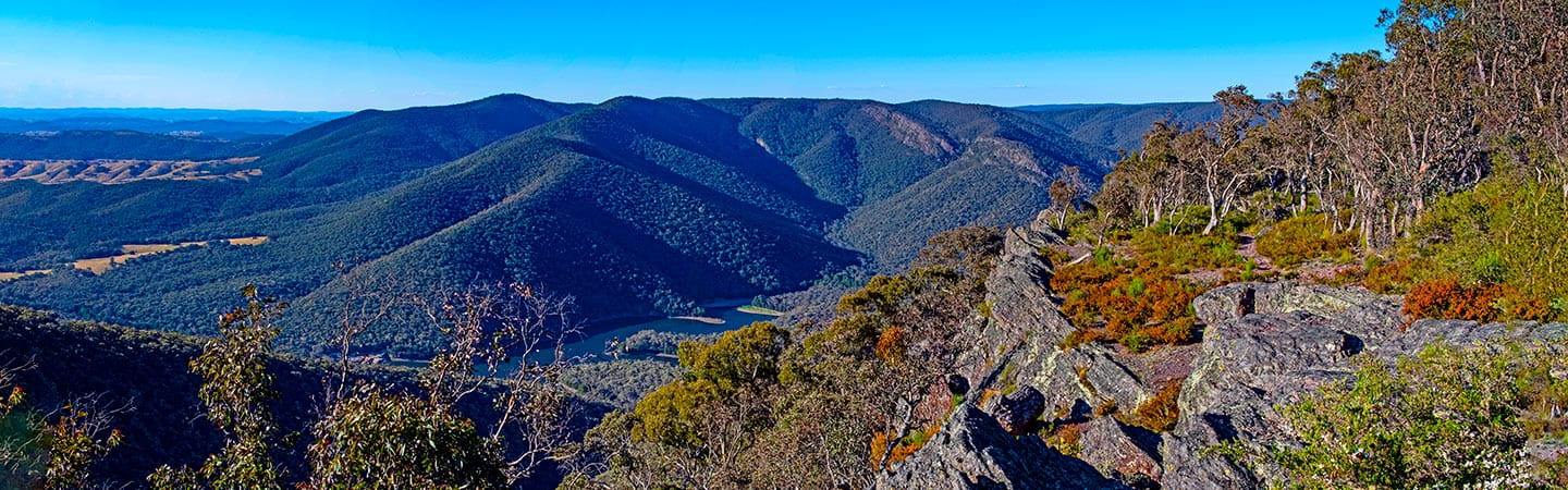 Indigenous respondents can be removed as parties to native title claims