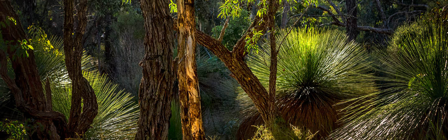 Environment and planning developments in Western Australia 