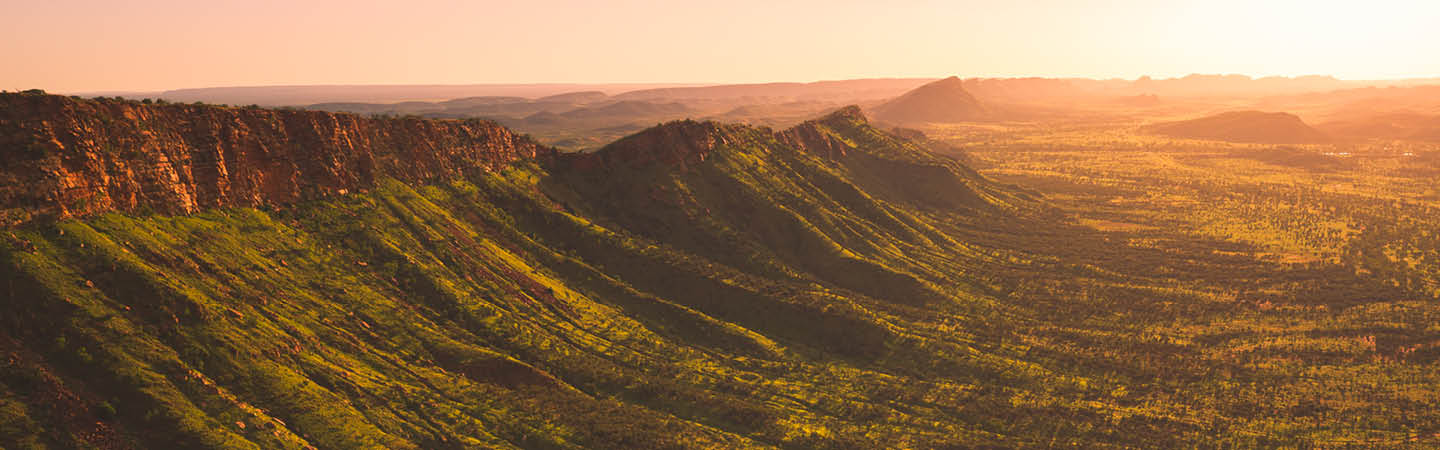 Australian Environment & Planning Year in Review 2025