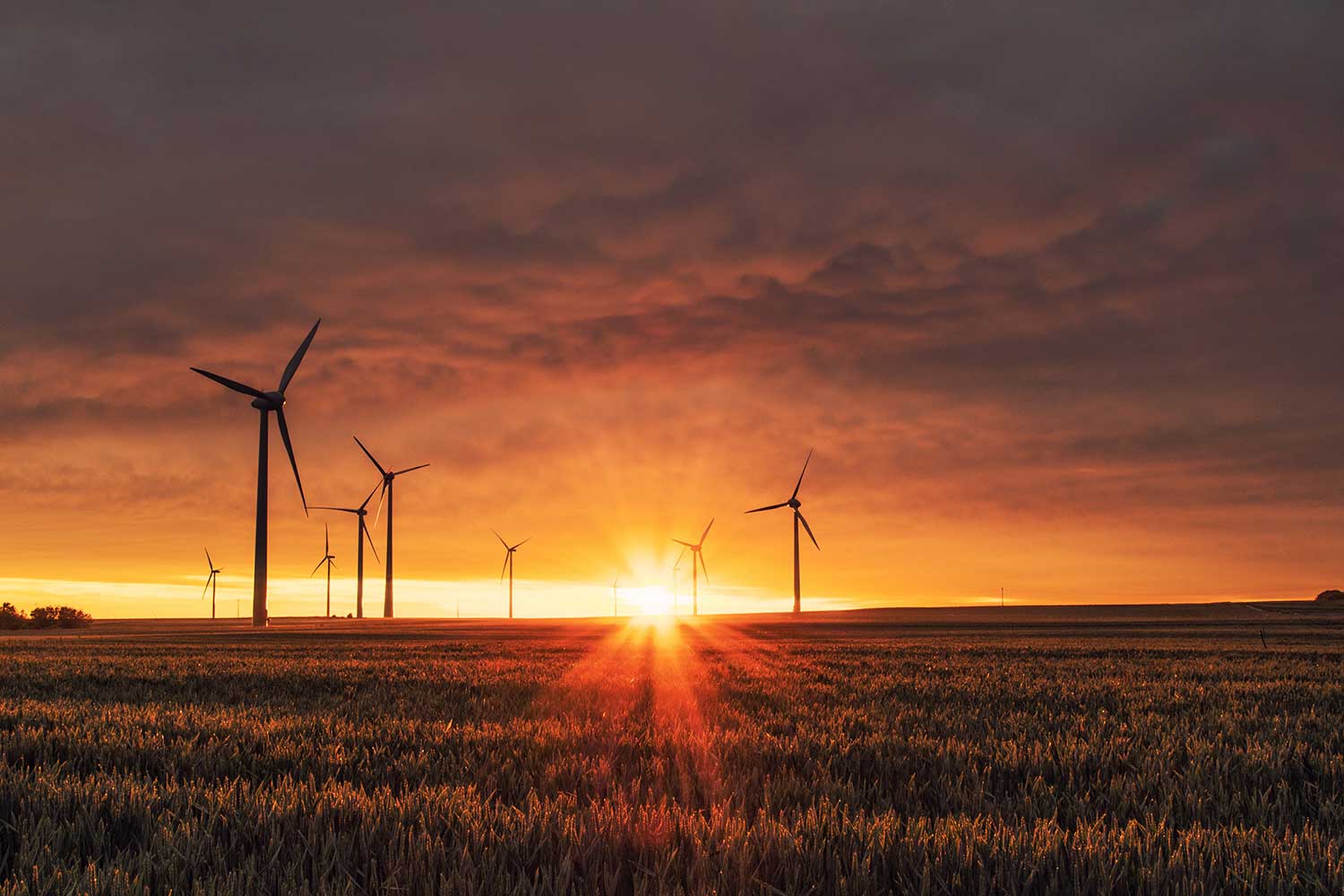 Hands holding a mobile phone